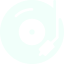 Vinyl icon